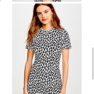 Leopard theory dress double knit